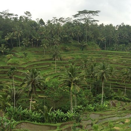 Pangkung House Apartment Ubud  Bagian luar foto