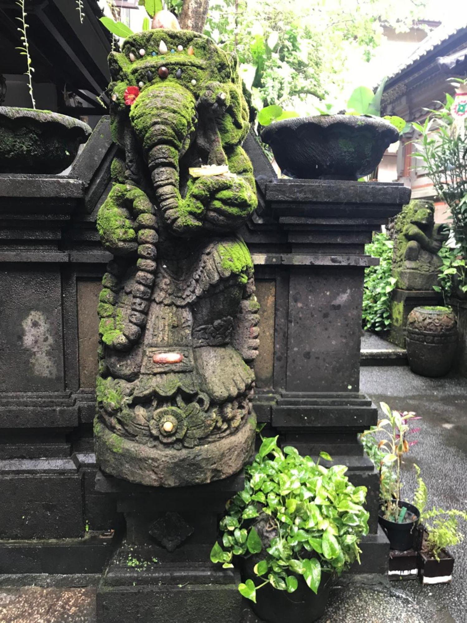 Pangkung House Apartment Ubud  Bagian luar foto