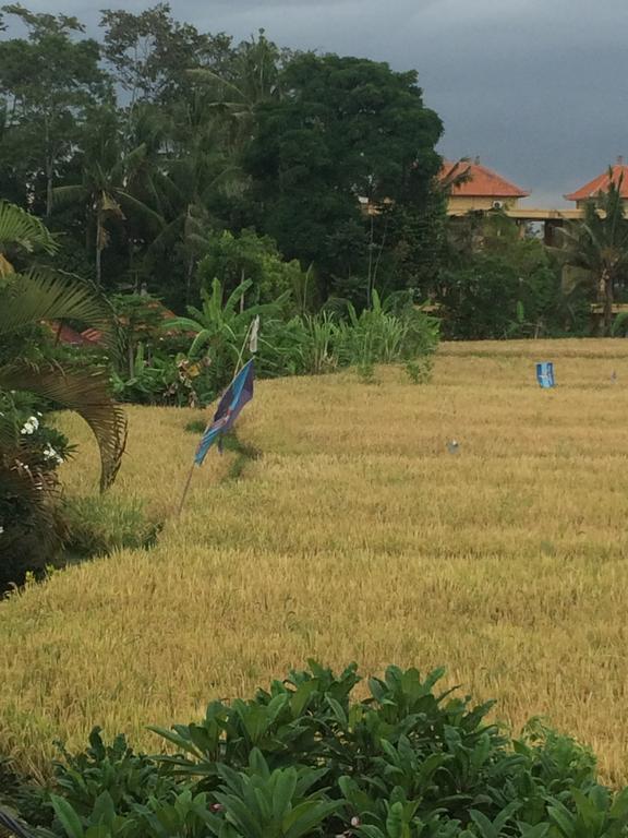 Pangkung House Apartment Ubud  Bagian luar foto